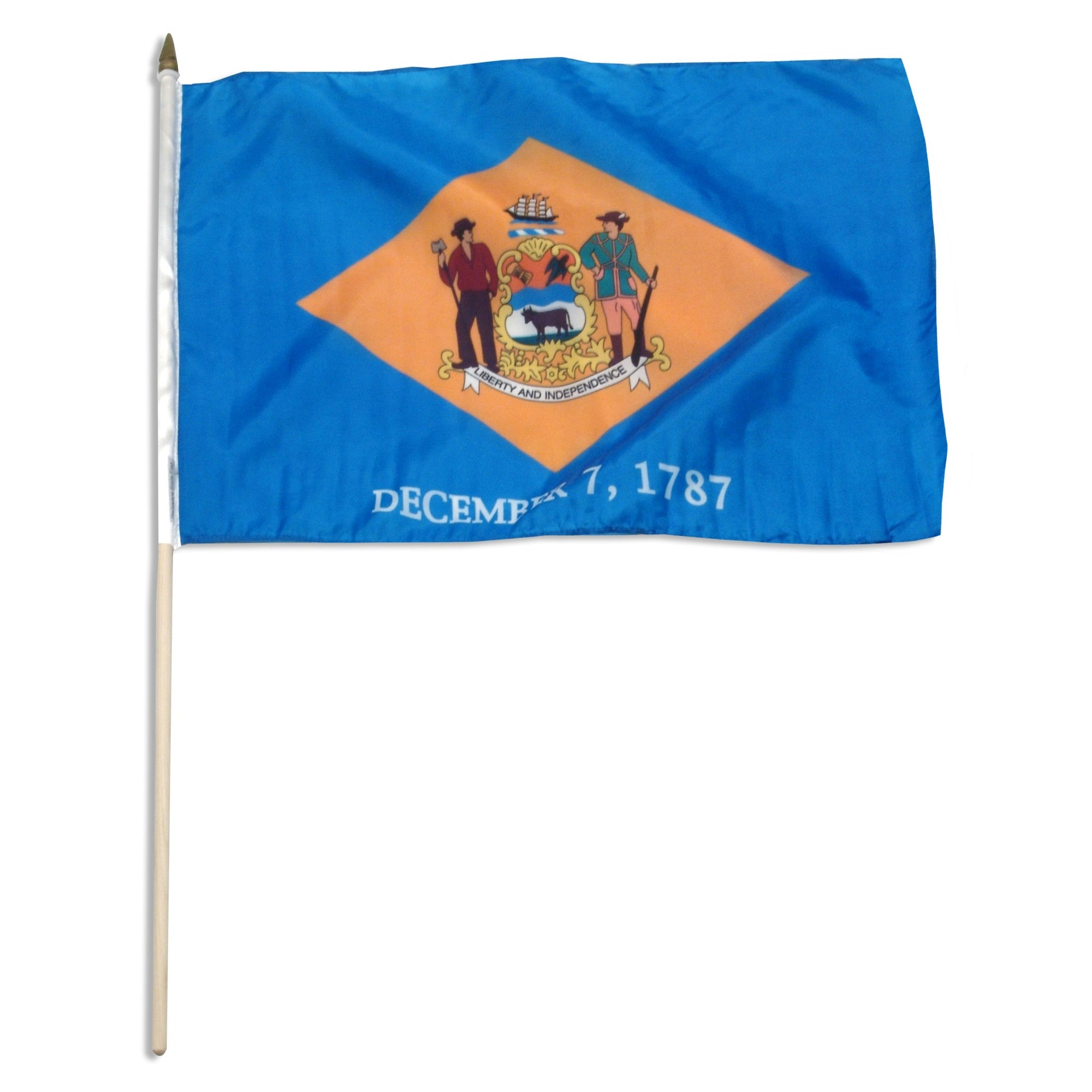 Delaware  12in x 18in Mounted Flag