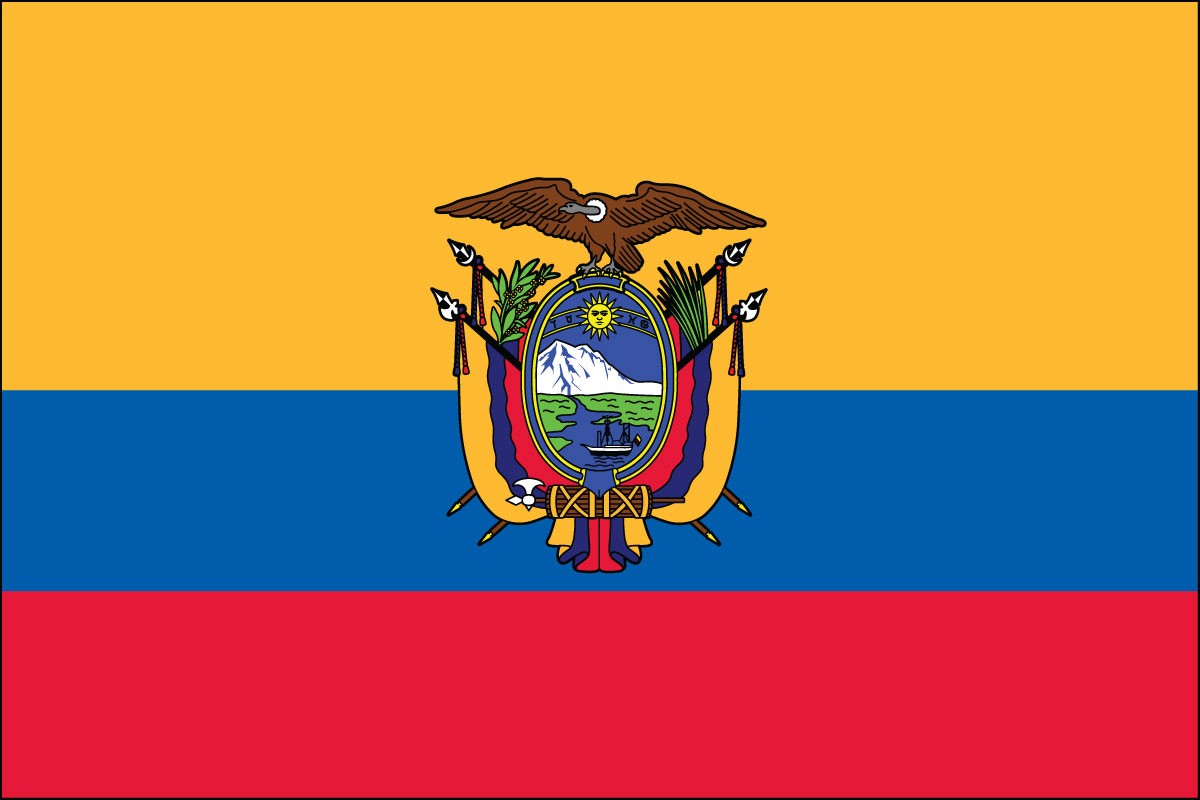 Shop Ecuador polyester indoor school church world flag for sale
