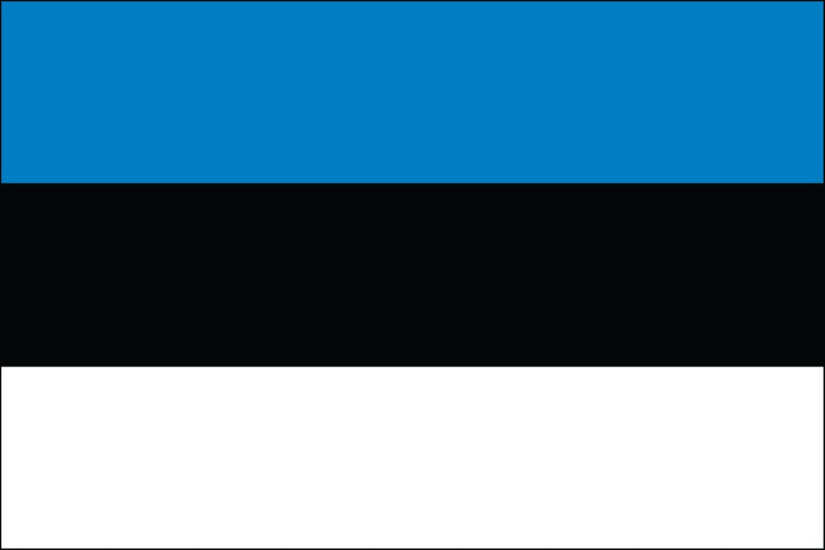 Estonia 2ft x 3ft Indoor Polyester Flag
