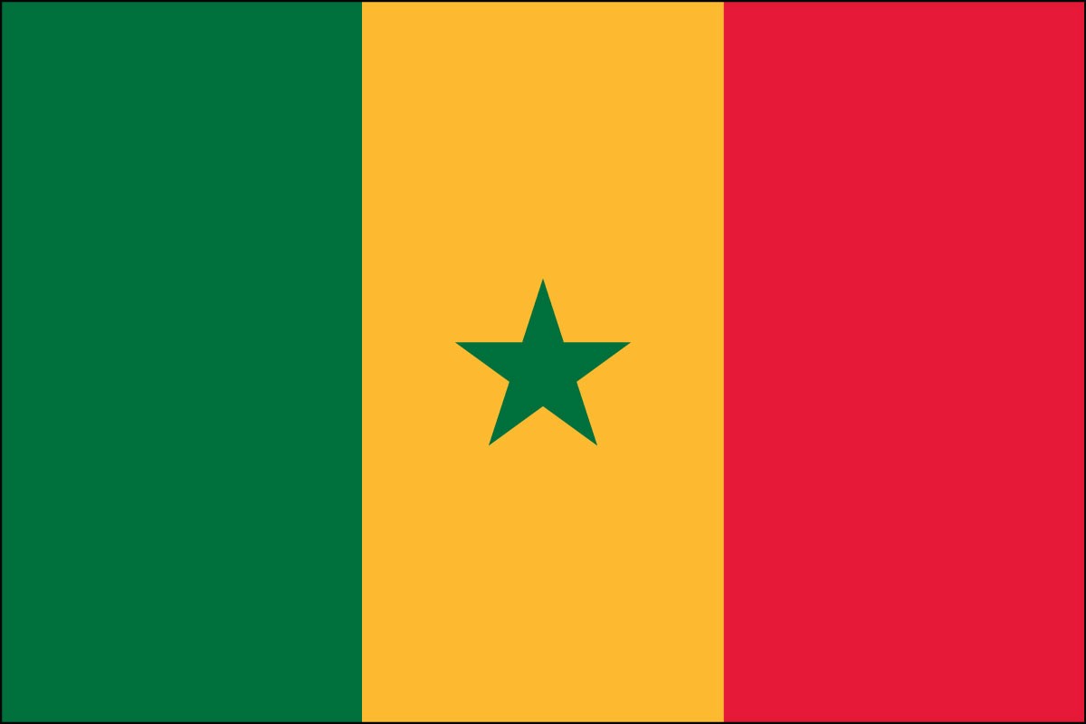 Senegal 2ft x 3ft Indoor Polyester Flag