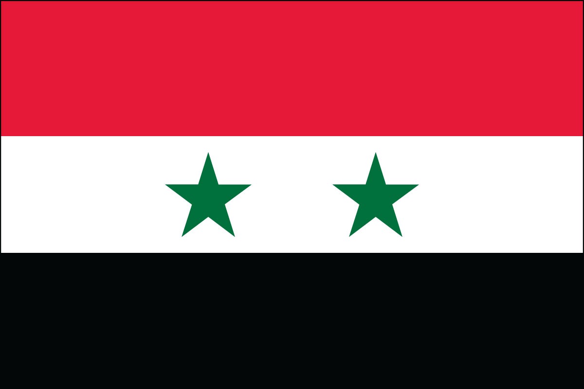Syria 2ft x 3ft Indoor Polyester Flag