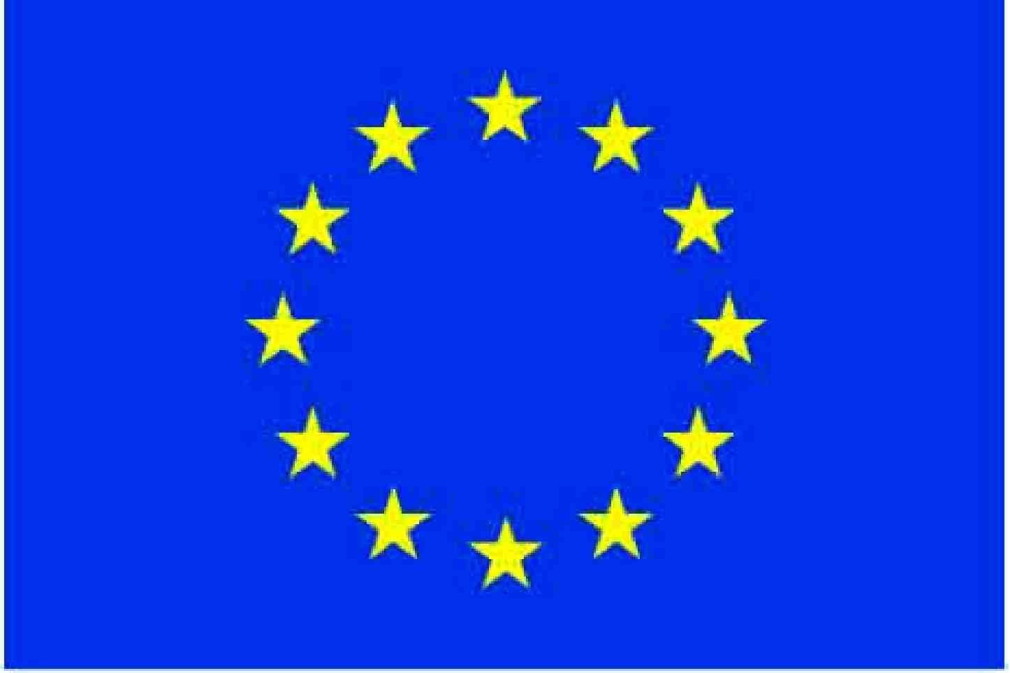 European Union 3ftx 5ft Indoor Polyester Flag