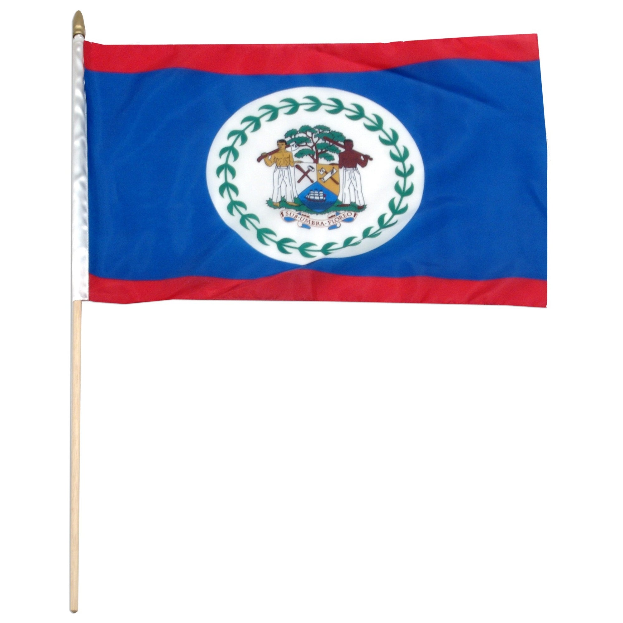 Belize 12in x 18in Mounted Country Flag