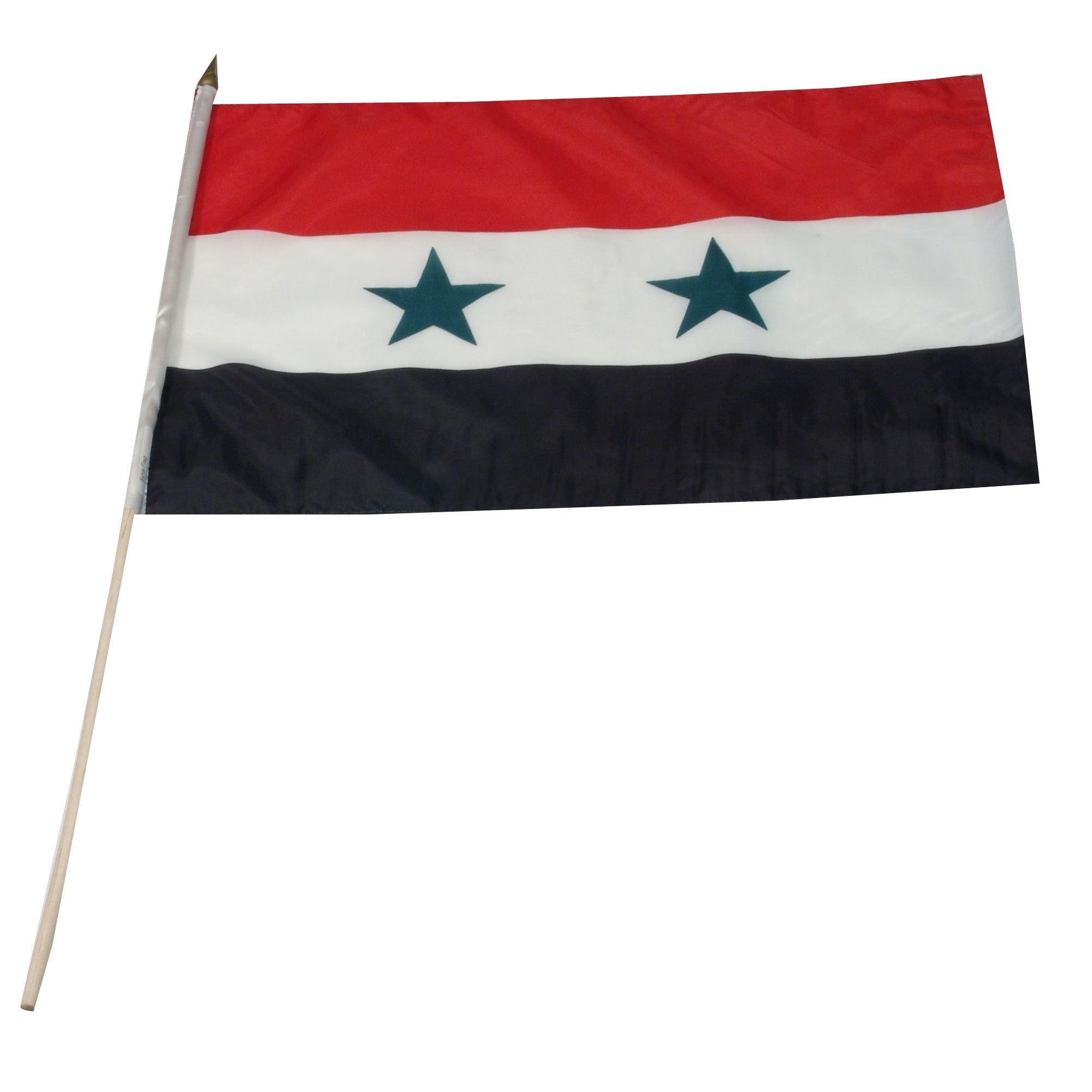 Syria 12in x 18in Mounted Flag