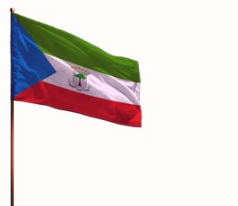 Equatorial Guinea 2ft x 3ft Indoor Polyester Flag