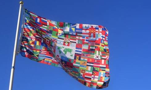The World Flag