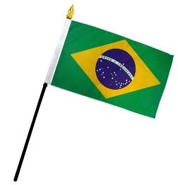 Brazil 4in x 6in Inch Mounted Stick Country Brazilian  Flags