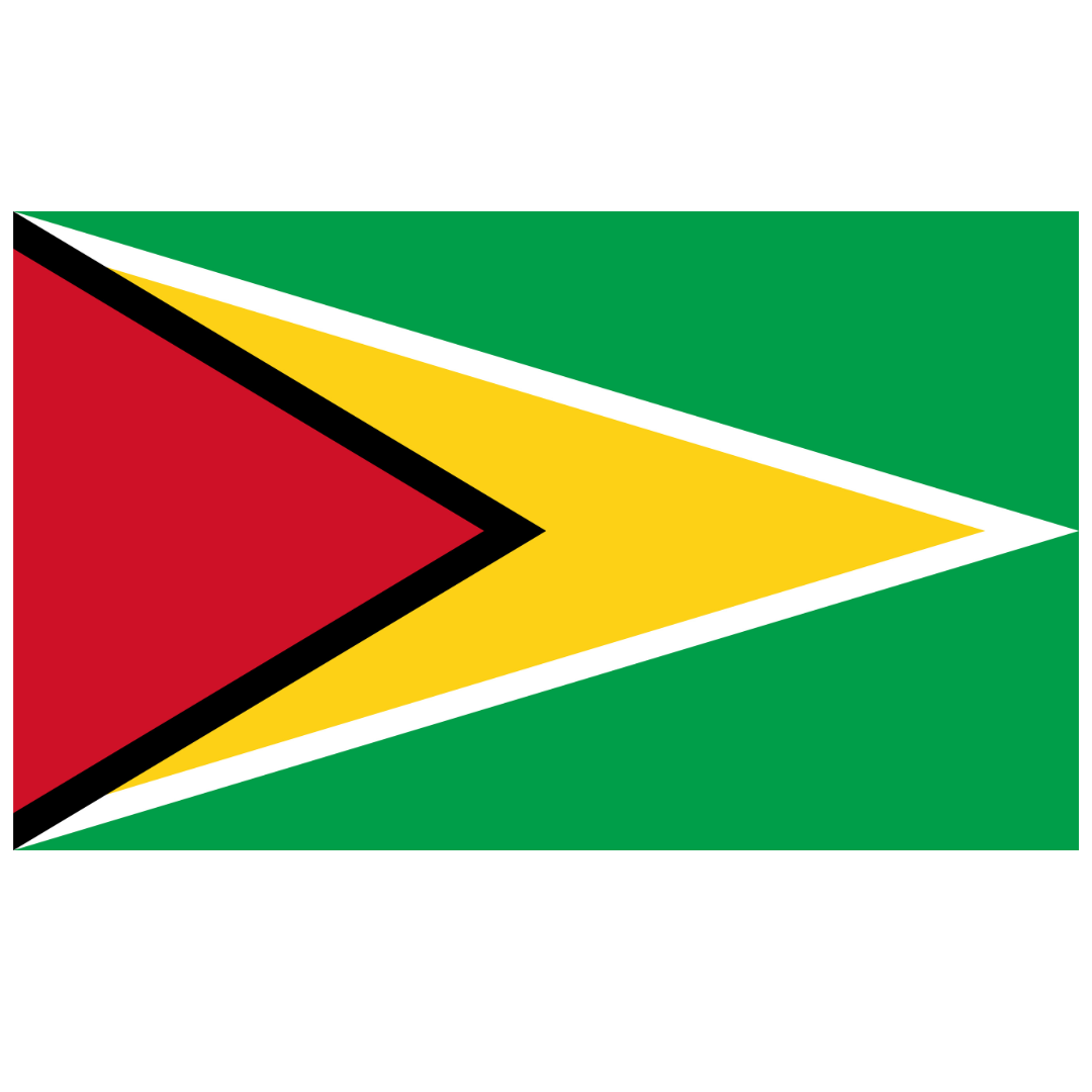 Bandera de Guyana con dobladillo de poste de nailon de 4x6 pies
