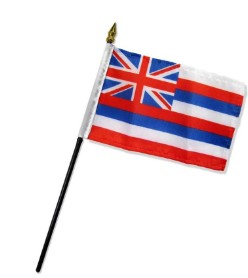 Banderas montadas de Hawaii de 4 x 6 pulgadas