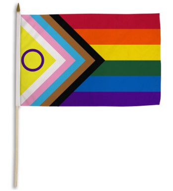 Inclusive Pride Polyester Flag