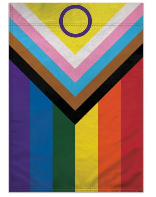 Inclusive Pride Polyester Flag