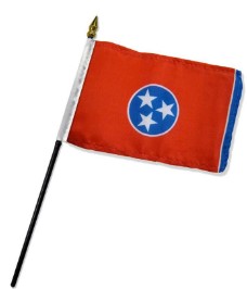 Tennessee  4in x 6in Mounted Flags