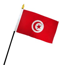 Tunisia 4in x 6in Mounted Stick Flags