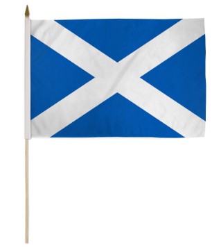 Saint Andrew's Cross 12in x 18in Mounted Flag