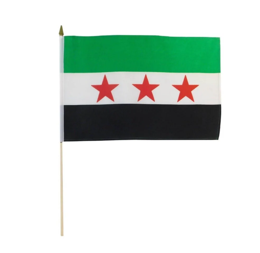 Syria 12in x 18in Mounted Flag