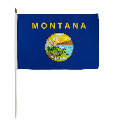 Montana Flag For SAle