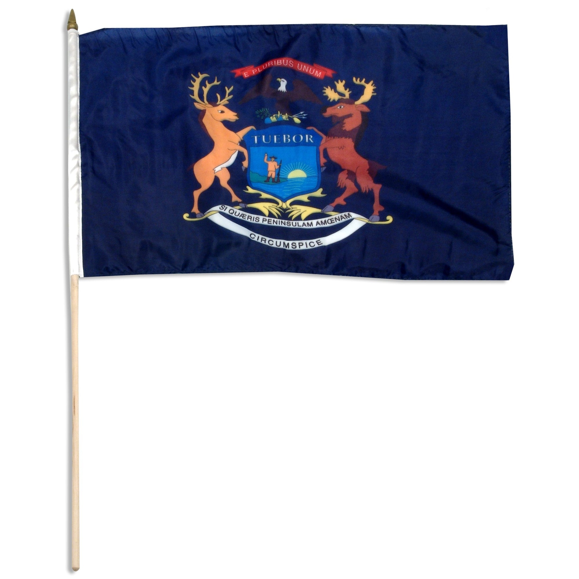 Michigan  12" x 18" Mounted Flag