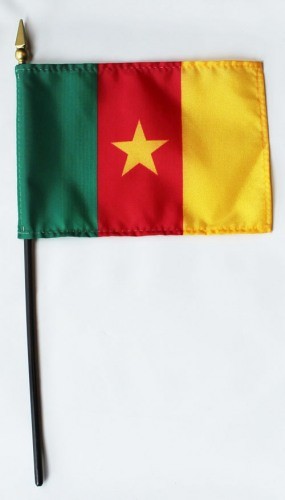 Cameroon 4" x 6" Mounted Stick Flags