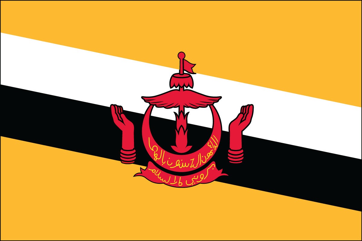 Bandera de poliéster interior de Brunei de 2 pies x 3 pies