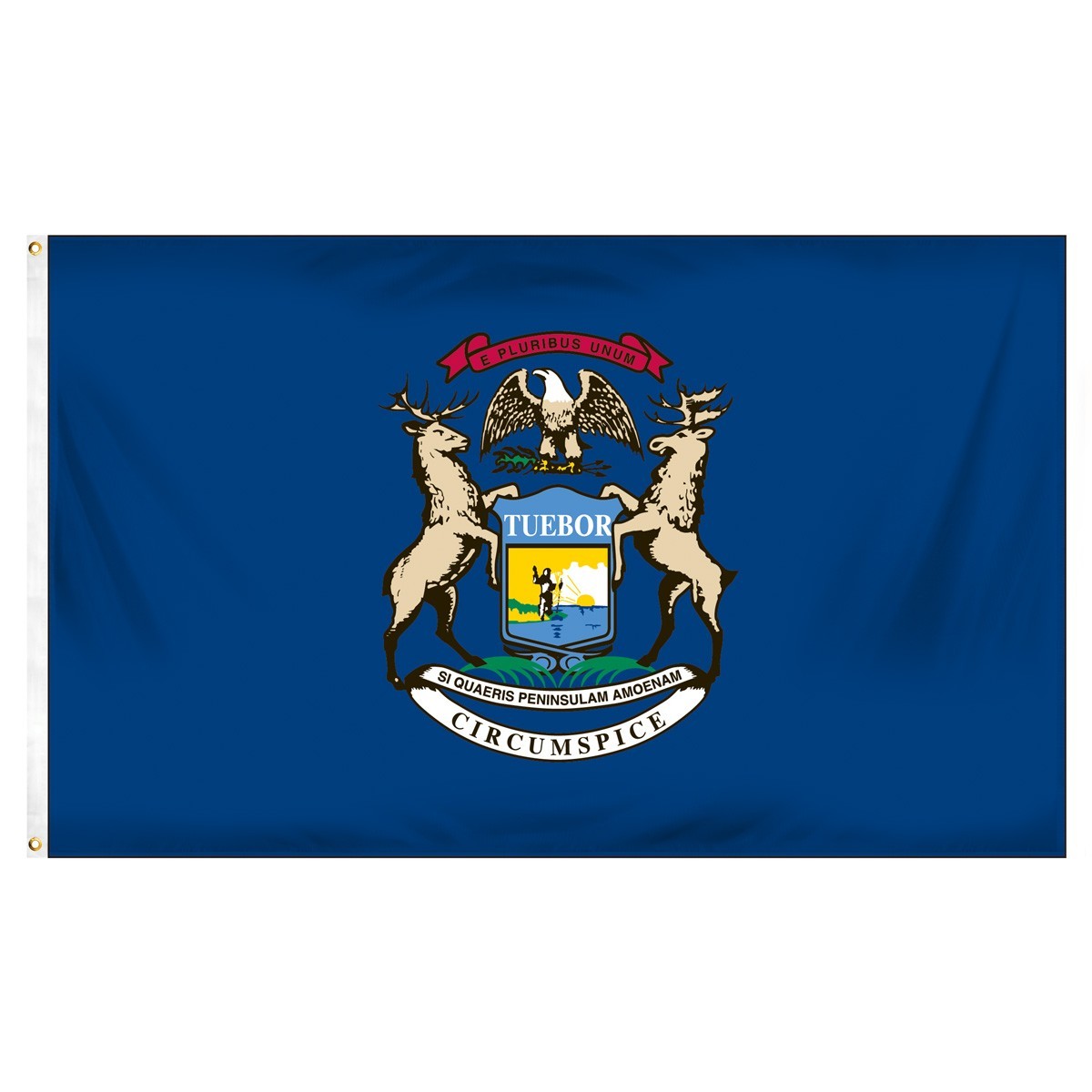 Michigan 2ft x 3ft Indoor Polyester Flag