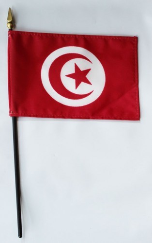 Tunisia 4in x 6in Mounted Stick Flags