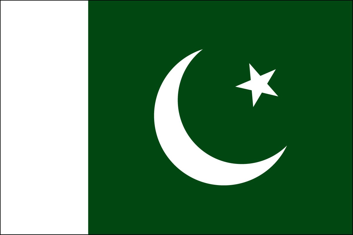 Pakistan school stick flag for sale