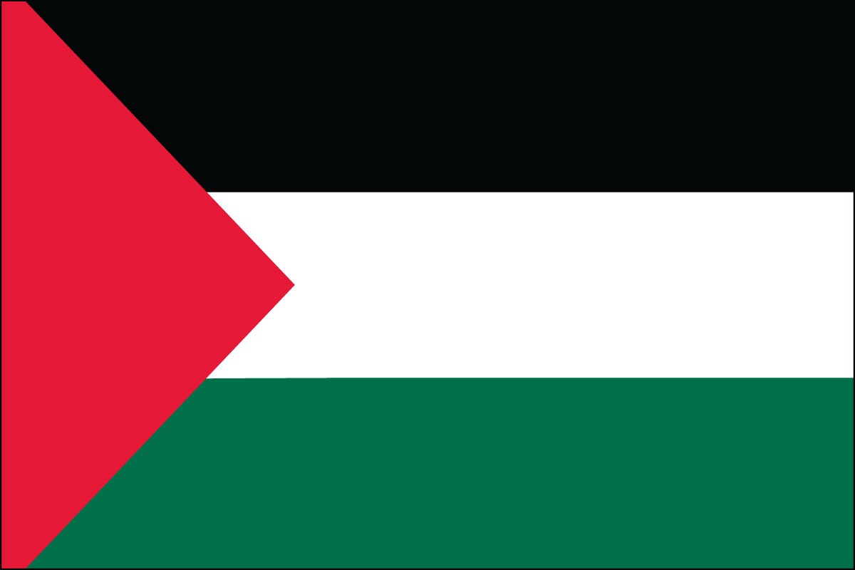 palestine polyester flags for sale