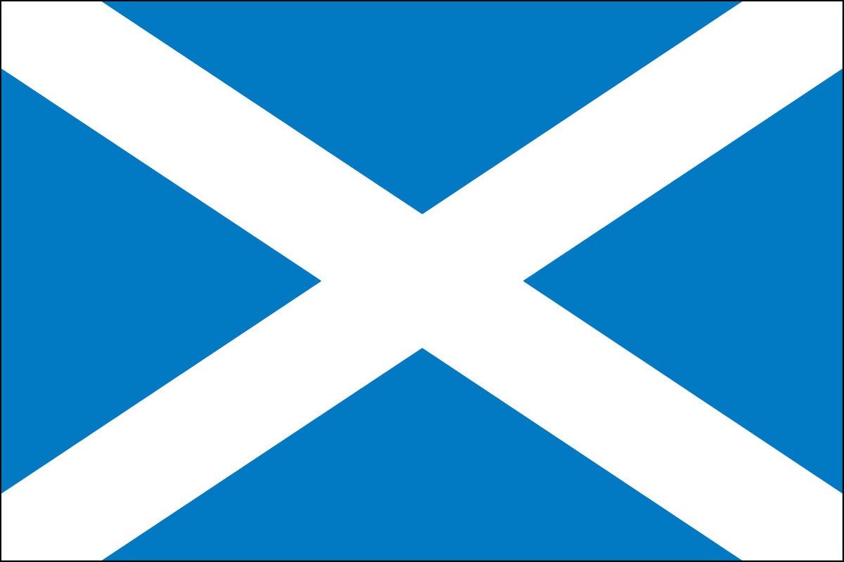 Saint Andrew's Cross 2ft x 3ft Indoor Polyester Flag