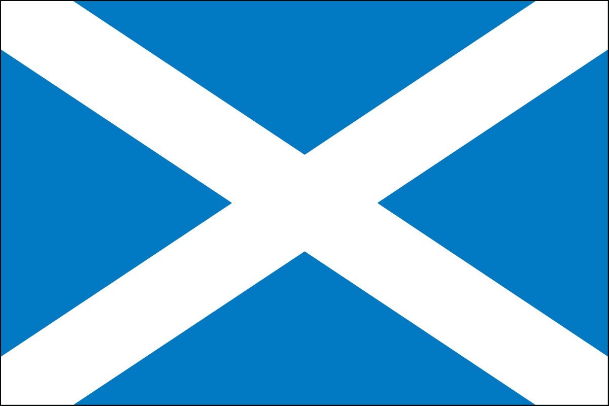 Saint Andrew's Cross 2' x 3' Indoor Polyester Flag