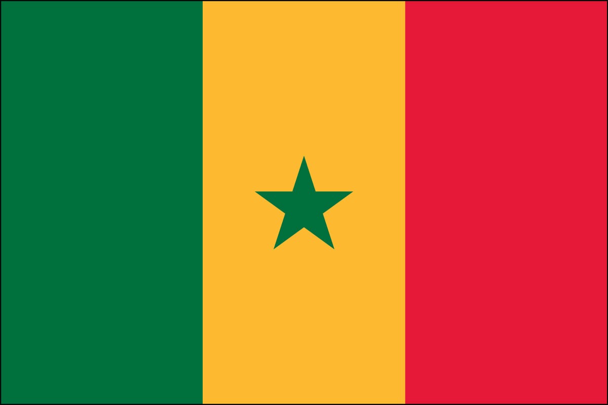 Banderas de poliéster para interiores de Senegal de 2' x 3' o 3' x 5'