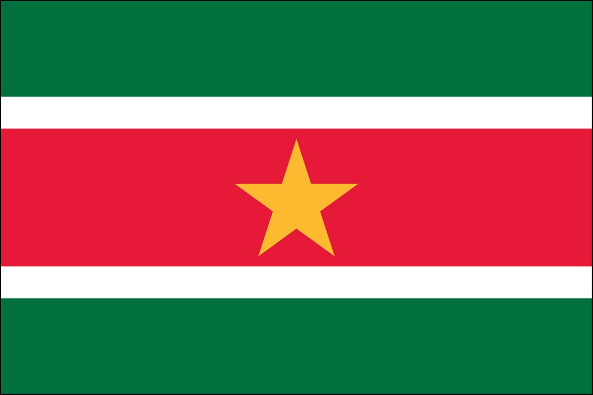 Suriname 2ft x 3ft Indoor Polyester Flag