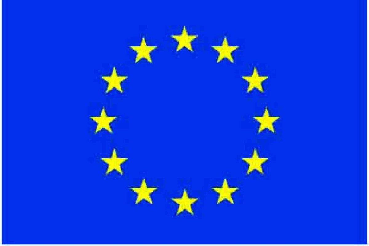 European Union 3ftx 5ft Indoor Polyester Flag