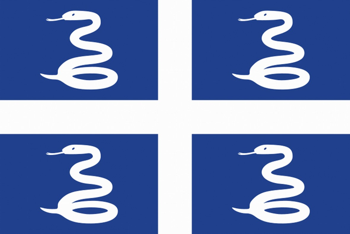 Drapeau Montpellier - 150X90 Cm - Drapeau Montpellierain 100% Polyester Avec Fourreau Et