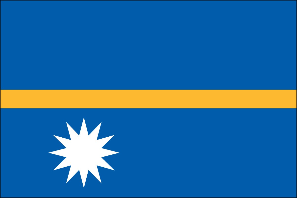 Bandera de poliéster interior de Nauru de 3 pies x 5 pies