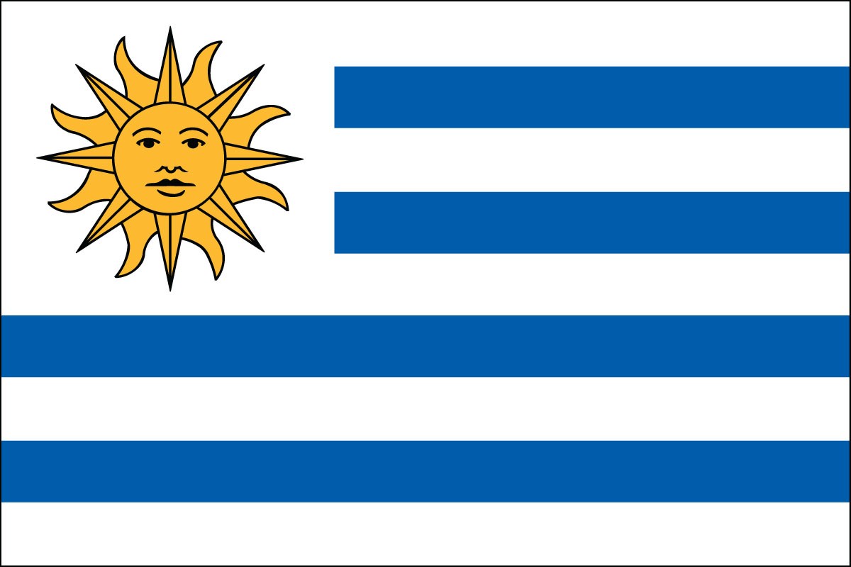 Uruguay 3' x 5' Indoor Polyester Flag