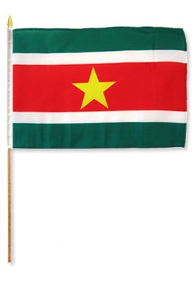 Suriname 12in x 18in Mounted Flag
