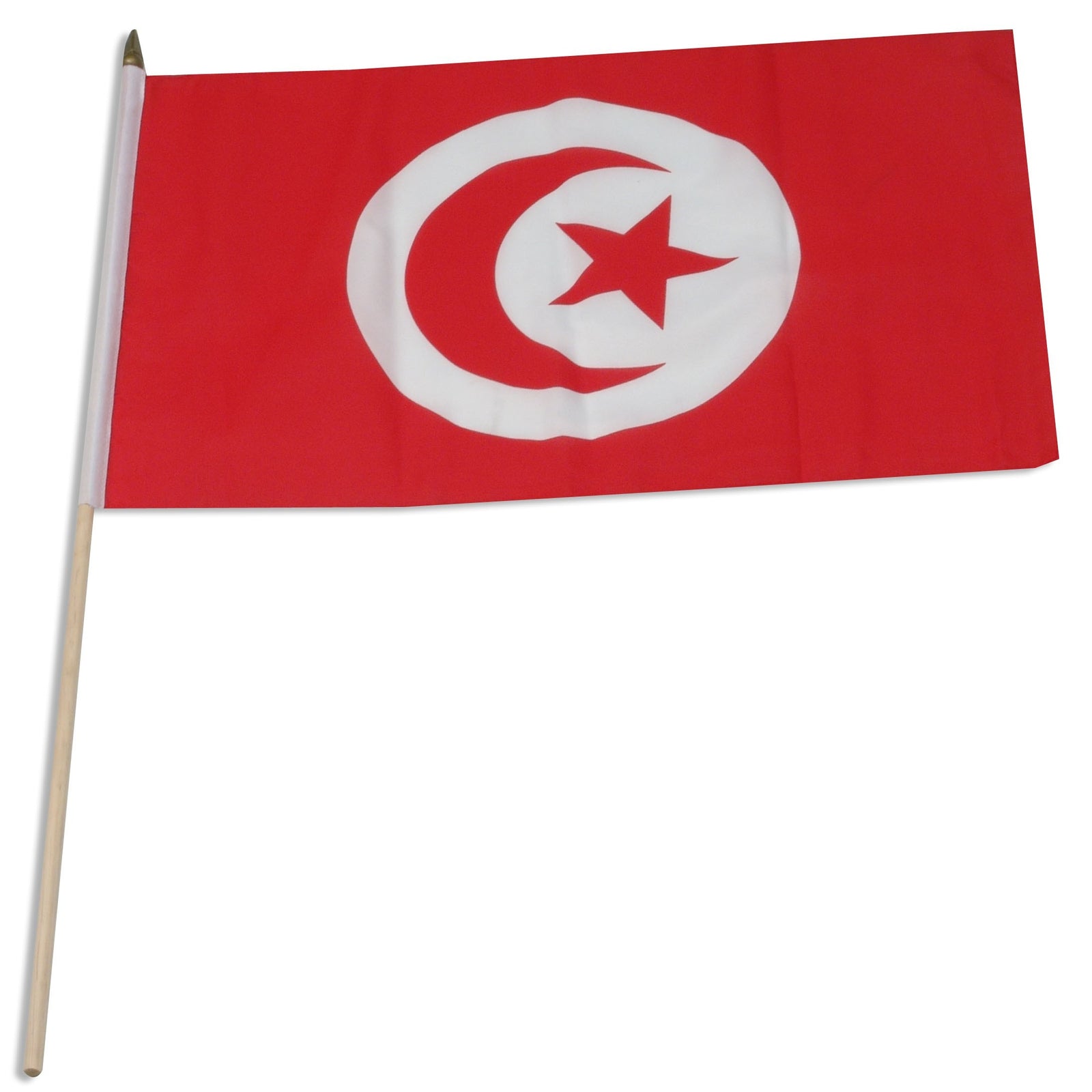 Tunisia 12in x 18in Mounted Stick Flag