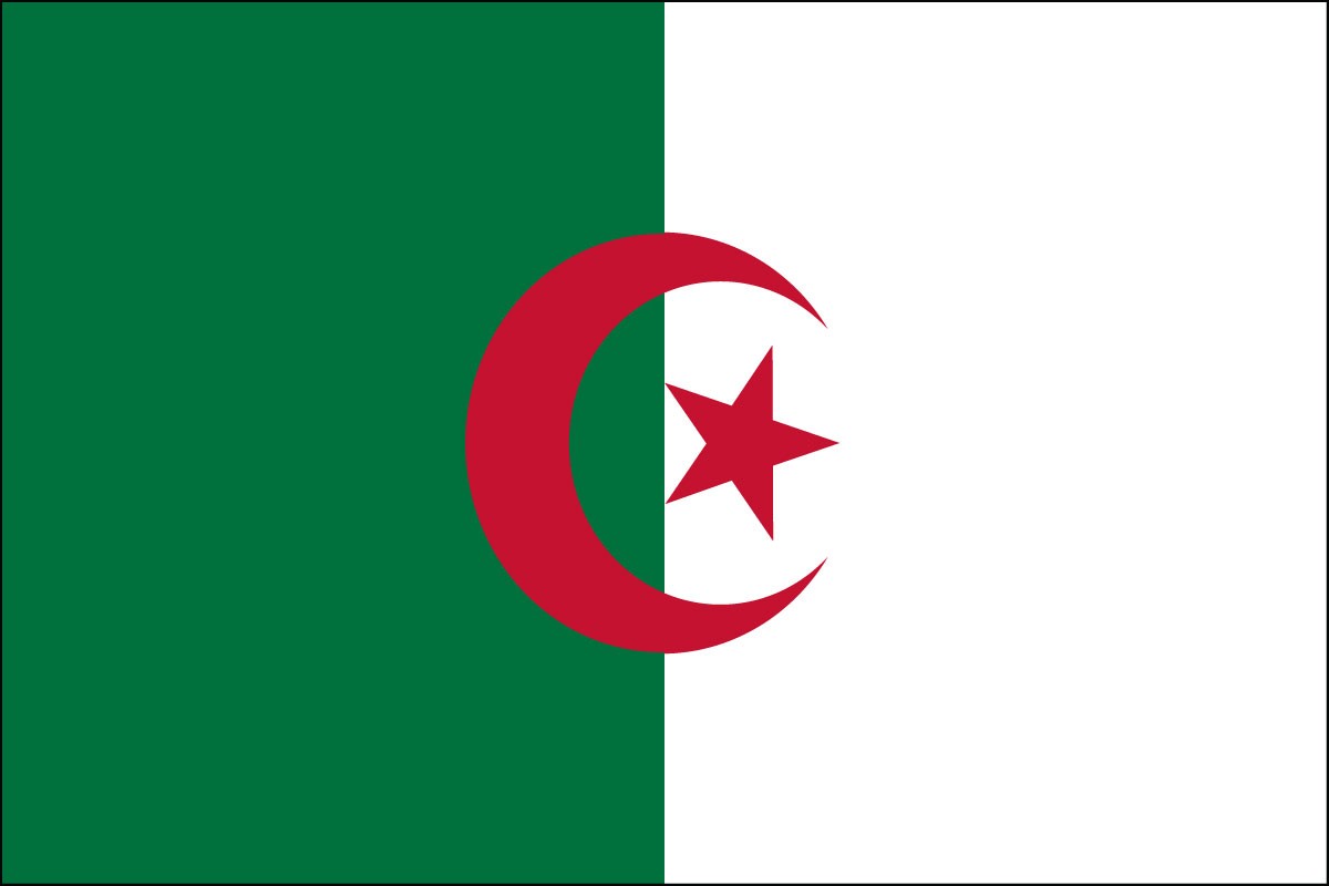 Algerian world flag for sale