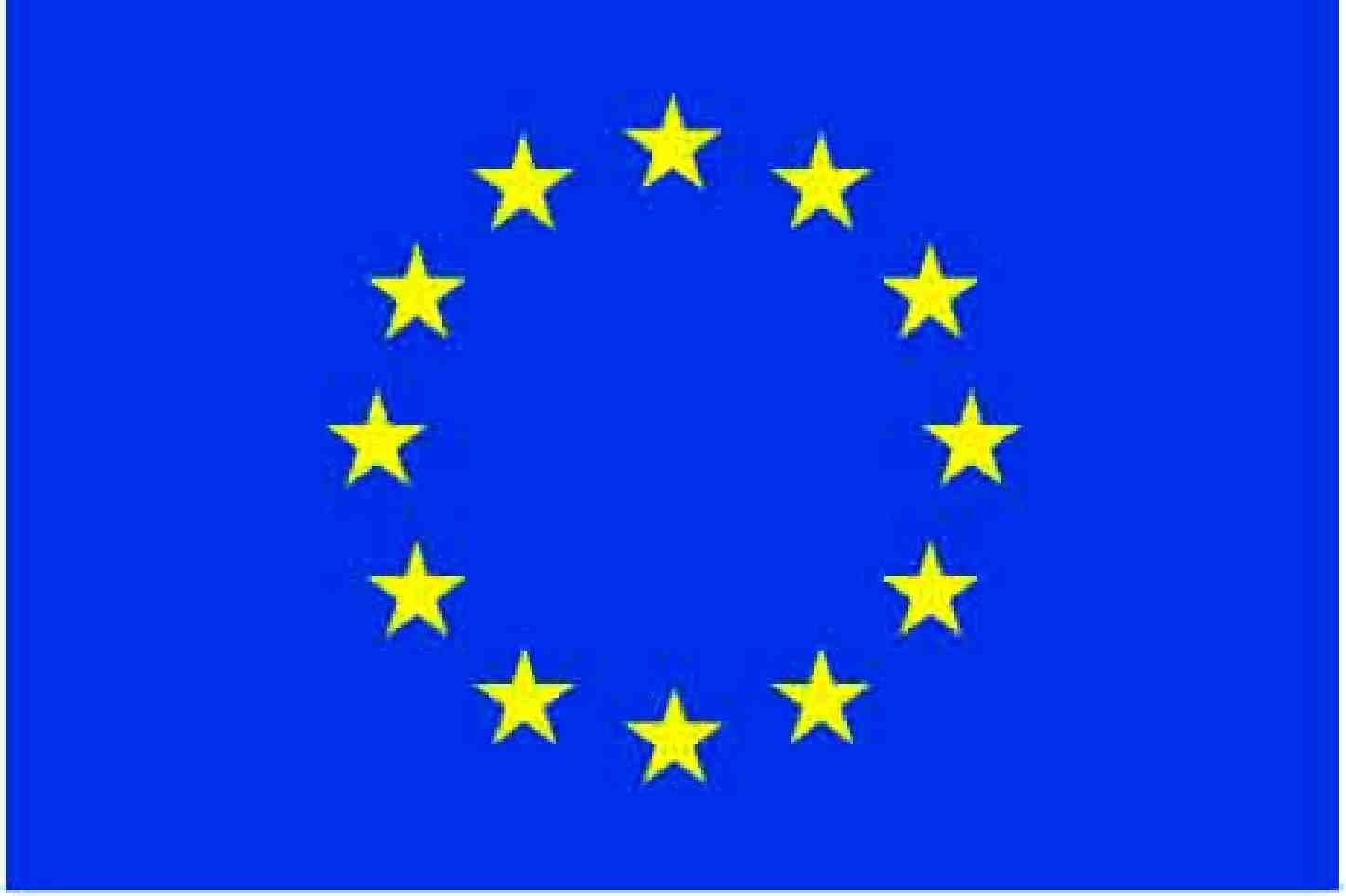 European Union Flag