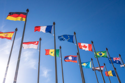 Juego de 193 nailon para exteriores de las Naciones Unidas (2 pies x 3 pies)