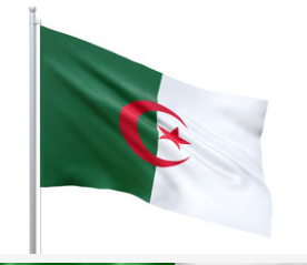 Algeria High Quality 2ft x 3ft Outdoor Nylon Country Flag